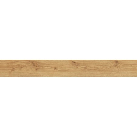 ATLAS CONCORDE EXENCE AMANDE 18,5X150 RETT