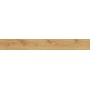 ATLAS CONCORDE EXENCE AMANDE 18,5X150 RETT