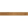 ATLAS CONCORDE EXENCE AMBRE 18,5X150 RETT