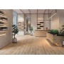 ATLAS CONCORDE EXENCE VANILLA 18,5X150 RETT
