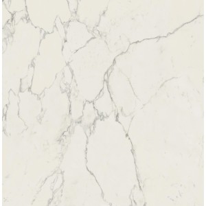 MARVEL CALACATTA EXTRA 120X120 MAT