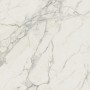 MARVEL CALACATTA EXTRA 120X120 MAT