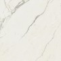 MARVEL CALACATTA EXTRA 120X120 MAT