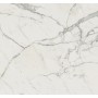 MARVEL CALACATTA EXTRA 120X120 MAT
