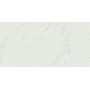 MARVEL STONE CARRARA PURE 60X120 MAT