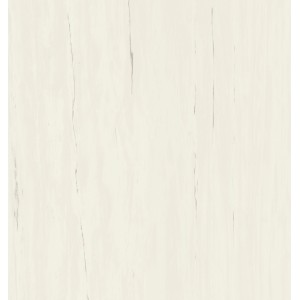 MARVEL STONE BIANCO DOLOMITE 120X120 MAT