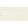 MARVEL STONE BIANCO DOLOMITE 60X120 MAT
