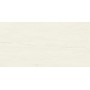 MARVEL STONE BIANCO DOLOMITE 30X60 MAT