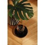 Parquet contrecollé Chêne Adagio Chevron A, LIVE Natural Oil, Brossé