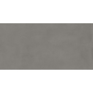 BOOST BALANCE SMOKE MATT 60X120 Rectifié