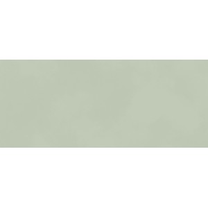 BOOST COLOR MINT MATT 50X120 Rectifié