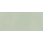 BOOST COLOR MINT MATT 50X120 Rectifié