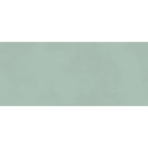 BOOST COLOR JADE MATT 50X120 Rectifié