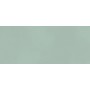 BOOST COLOR JADE MATT 50X120 Rectifié