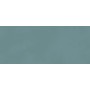 BOOST COLOR TEAL MATT 50X120 Rectifié