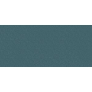 BOOST COLOR NAVY FROG MATT 50X120 Rectifié