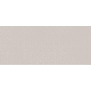 BOOST COLOR DOVE FROG MATT 50X120 Rectifié