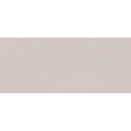 BOOST COLOR DOVE FROG MATT 50X120 Rectifié