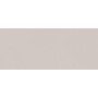 BOOST COLOR DOVE FROG MATT 50X120 Rectifié