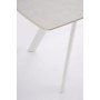 TABLE EXTENSIBLE RAILI BLANC/GRIS C 119.5/180X85