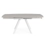 TABLE EXTENSIBLE RAILI BLANC/GRIS C 119.5/180X85