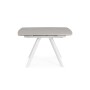 TABLE EXTENSIBLE RAILI BLANC/GRIS C 119.5/180X85