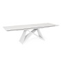 TABLE EXTENSIBLE ALIISA 180-260X90