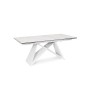 TABLE EXTENSIBLE ALIISA 180-260X90