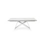 TABLE EXTENSIBLE ALIISA 180-260X90