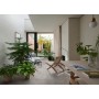 PLAZA GREY 30X60 MAT Rectifié