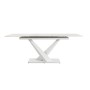 TABLE EXTENSIBLE JOHANNES BLANC 160-200X90