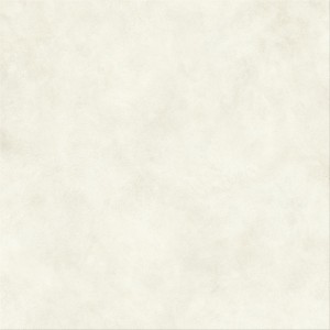 BOOST EXPRESSION GLOW MATT 120X120 Rectifié