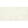 BOOST EXPRESSION GLOW MATT 60X120 Rectifié
