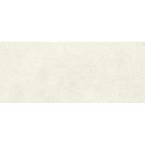 BOOST EXPRESSION GRAIN GLOW 50X120 Rectifié