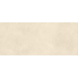 BOOST EXPRESSION GRAIN SHELL 50X120 Rectifié