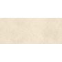 BOOST EXPRESSION GRAIN SHELL 50X120 Rectifié