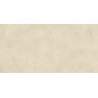 BOOST EXPRESSION CAMEL MATT 60X120 Rectifié