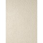 BOOST EXPRESSION GRAIN SHELL 50X120 Rectifié