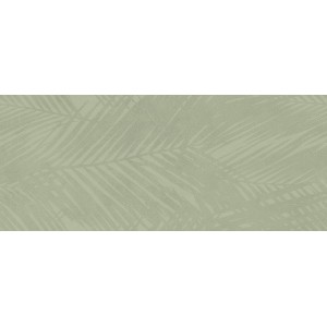 BOOST EXPRESSION OLIVE LIFE 50X120 Rectifié