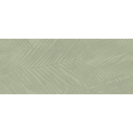BOOST EXPRESSION OLIVE LIFE 50X120 Rectifié