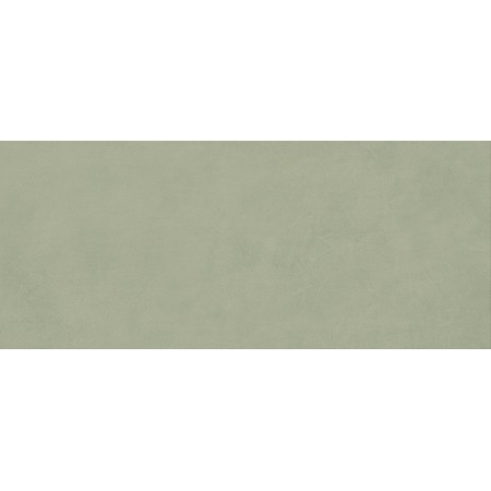 BOOST EXPRESSION OLIVE MATT 50X120 Rectifié