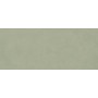 BOOST EXPRESSION OLIVE MATT 50X120 Rectifié