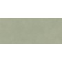 BOOST EXPRESSION OLIVE MATT 50X120 Rectifié
