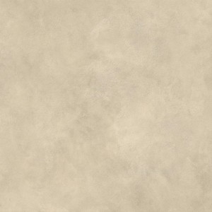 BOOST EXPRESSION TAN GRIP 120X120 Rectifié