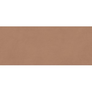 BOOST EXPRESSION SIENNA MATT 50X120 Rectifié