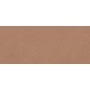 BOOST EXPRESSION SIENNA MATT 50X120 Rectifié