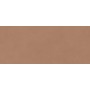 BOOST EXPRESSION SIENNA MATT 50X120 Rectifié