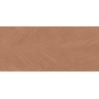 BOOST EXPRESSION SIENNA LIFE 50X120 Rectifié