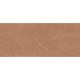 BOOST EXPRESSION SIENNA LIFE 50X120 Rectifié