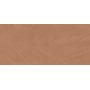 BOOST EXPRESSION SIENNA LIFE 50X120 Rectifié